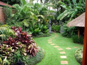 Decoracion jardin tropical